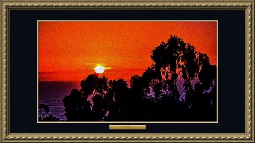Trees Sunset, framed