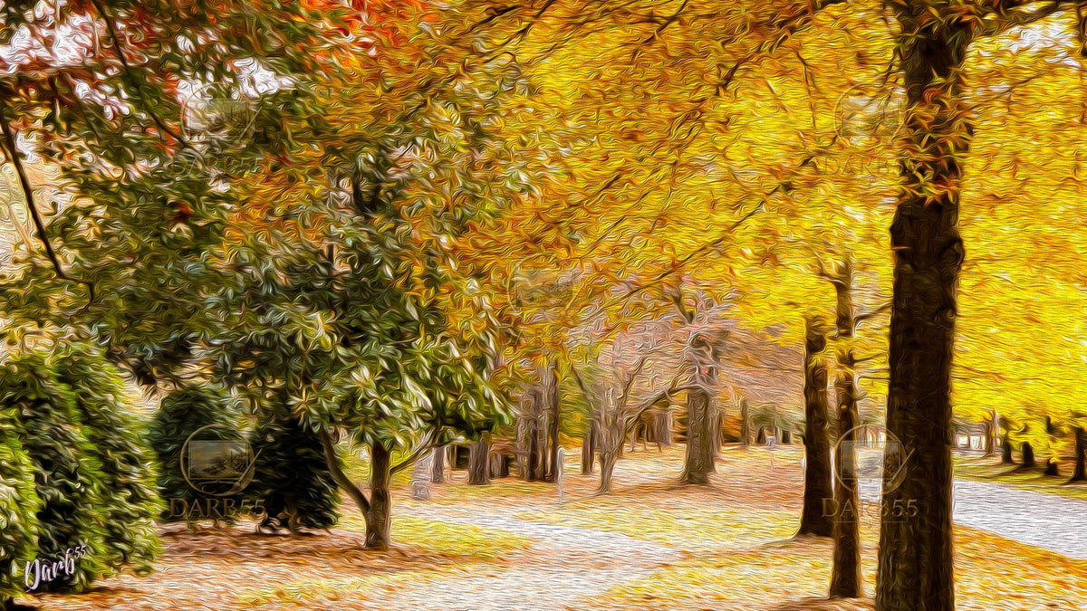 Fall Bundle #1 — Nine Original Works for Your TV