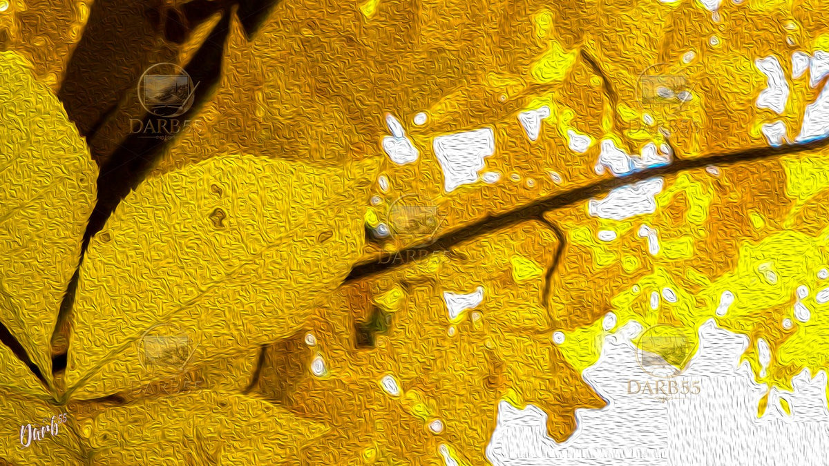 Fall Bundle #1 — Nine Original Works for Your TV
