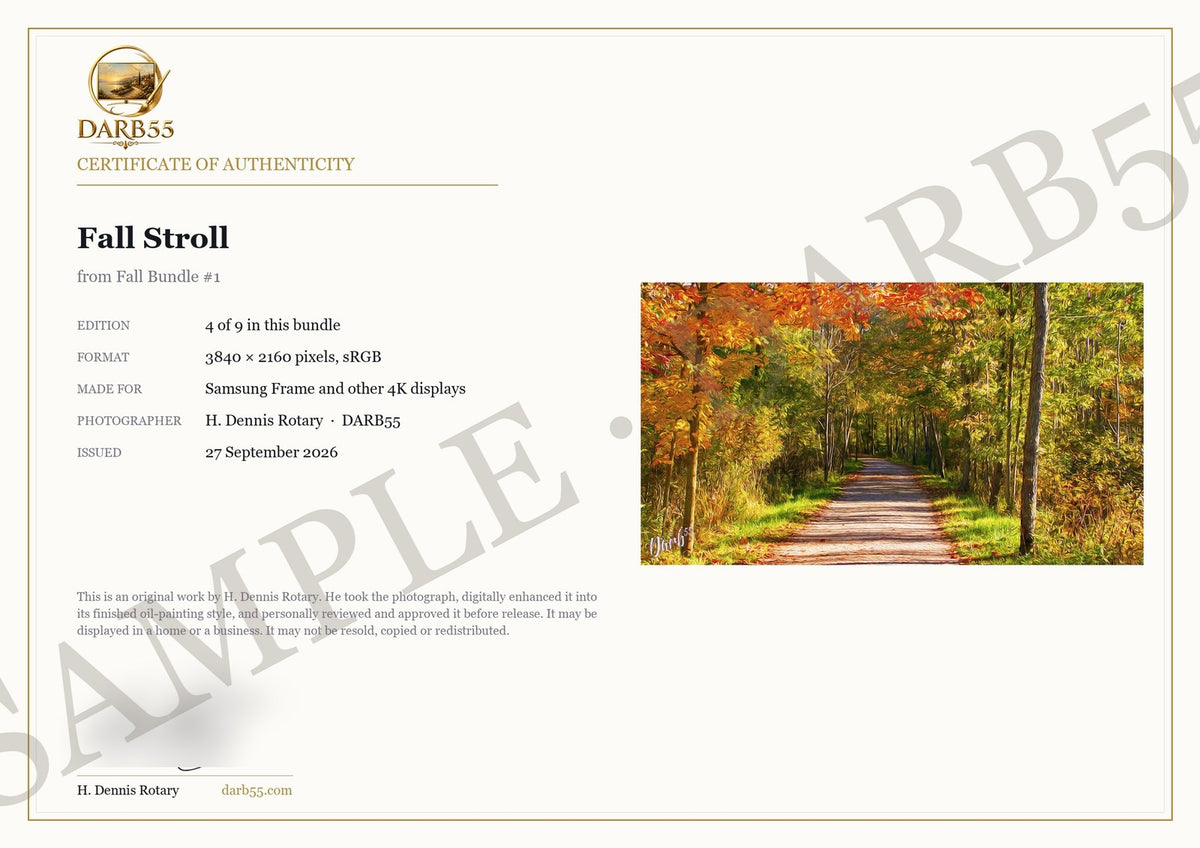 Fall Bundle #1 — Nine Original Works for Your TV