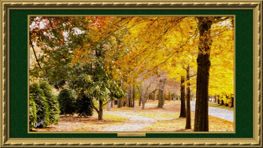 Path Of Leaves, framed