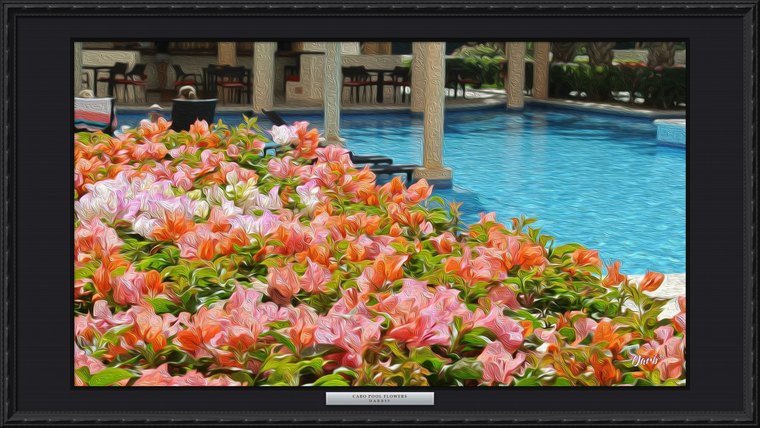 Cabo Pool Flowers, framed